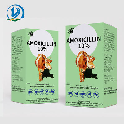 Partorisce l'iniezione intramuscolare dell'amoxicillina delle droghe 150mg/ml 10% della medicina veterinaria