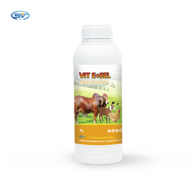 Vitamina E &amp; medicina orale della soluzione del selenio per i piccoli gatti dei cavalli degli uccelli e cani 5L 1L