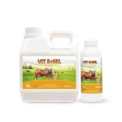 Vitamina E &amp; medicina orale della soluzione del selenio per i piccoli gatti dei cavalli degli uccelli e cani 5L 1L