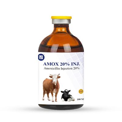iniezione veterinaria dell'amoxicillina delle droghe antiparassitarie 100ml di 20% per l'infezione del bestiame