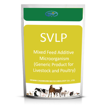 Additivi per mangimi per animali Microorganismo additivo per mangimi misti per animali (prodotto generico per il bestiame e il pollame)