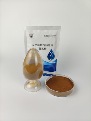 84687-43-4 estrazione con solvente cinese dei polisaccaridi dell'astragalo delle medicine di brevetto
